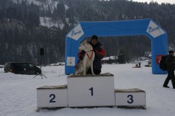 Lenk 2012 SM